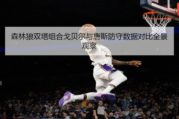 森林狼双塔组合戈贝尔与唐斯防守数据对比全景观察